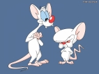 martin Hyde / pinky and the brain / 794910738