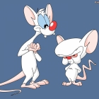 martin Hyde / pinky and the brain / 794910738