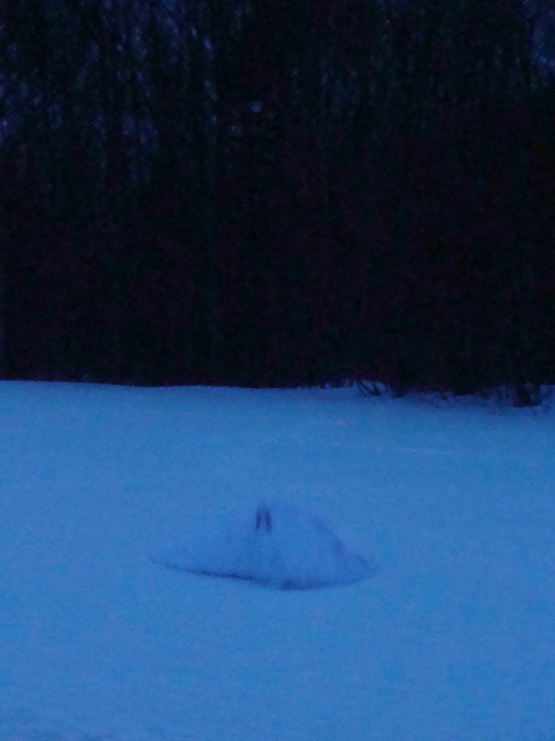ghosts, reverse the curse